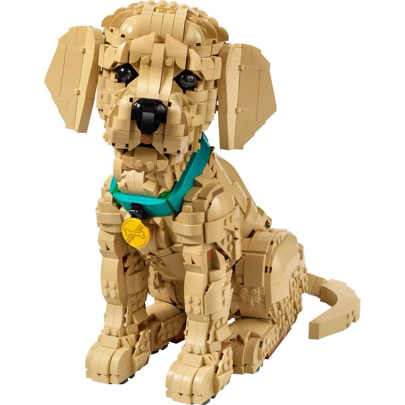 小黃金獵犬 Golden Retriever Puppy 照片3