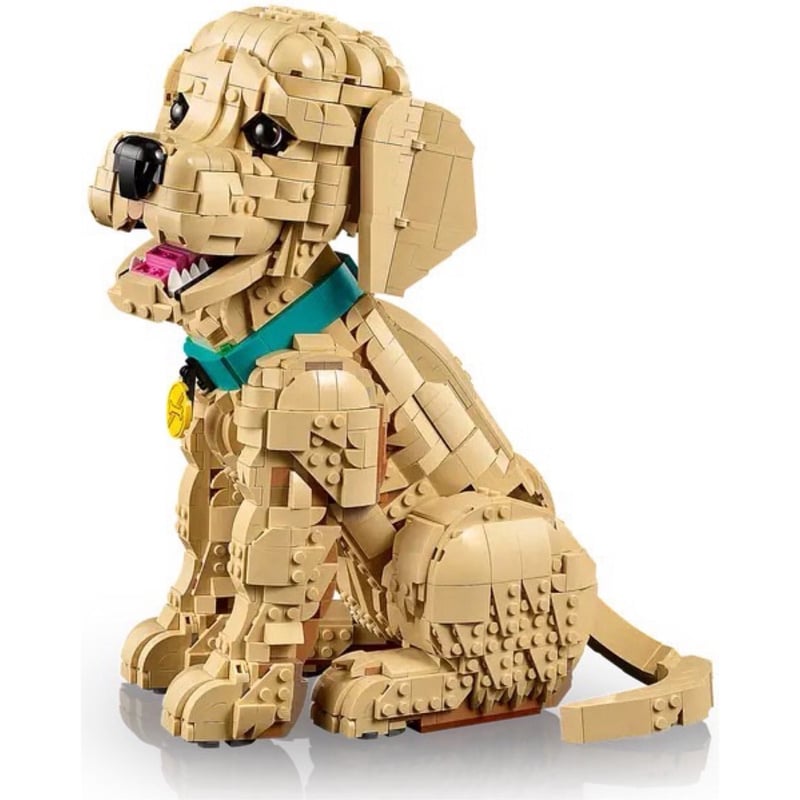 小黃金獵犬 Golden Retriever Puppy 照片4