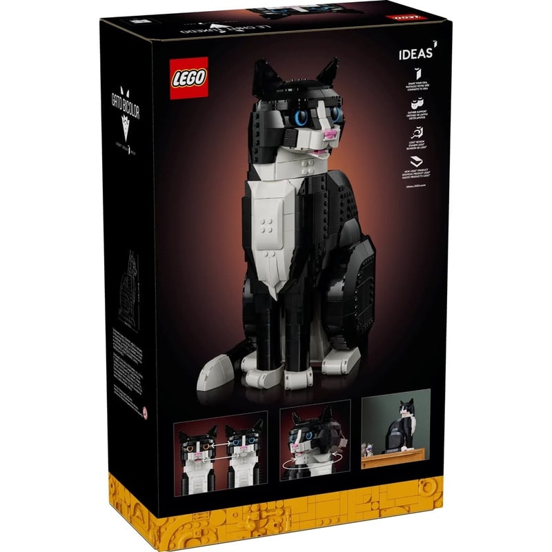 賓士貓 Tuxedo Cat 照片2