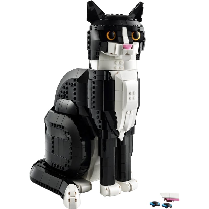 賓士貓 Tuxedo Cat 照片3