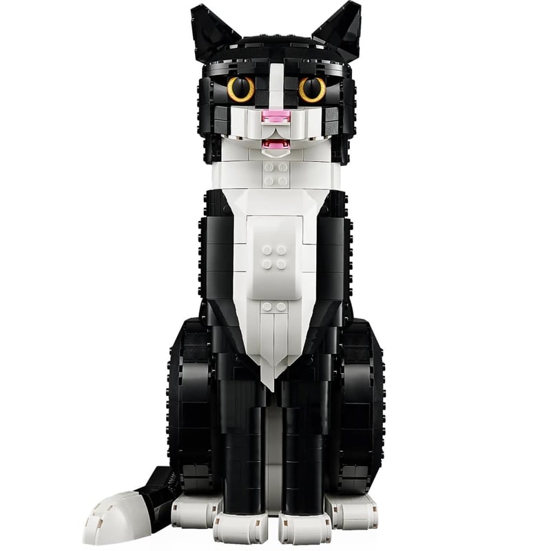 賓士貓 Tuxedo Cat 照片4