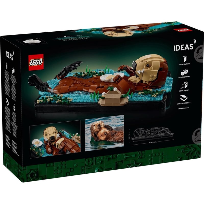 Ideas漂浮海獺 照片2