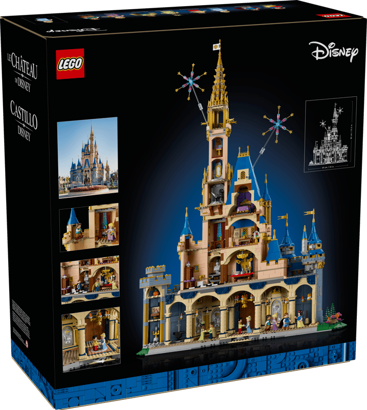Disney Castle 照片2