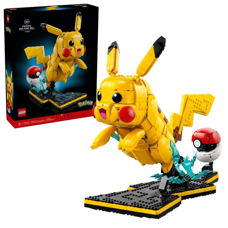 皮卡丘 Pikachu and Poké Ball